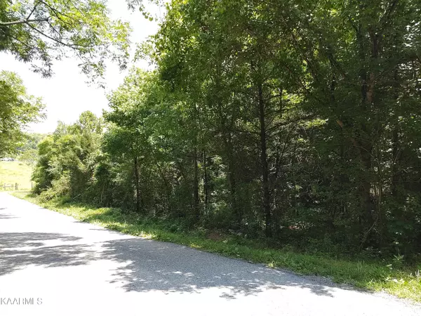 Mt Harmony Rd, Tellico Plains, TN 37385