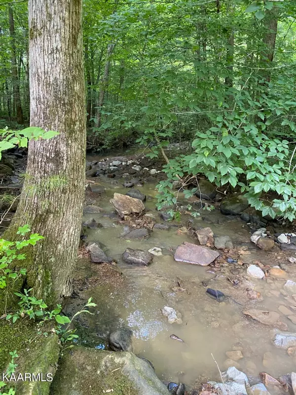 Oneida, TN 37841,Marcum Creek Rd