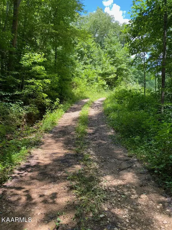 Marcum Creek Rd, Oneida, TN 37841