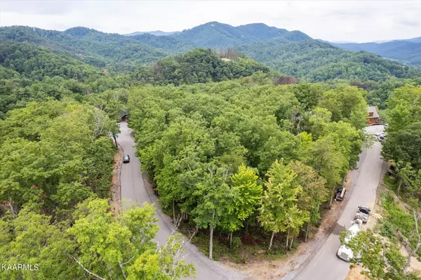 Sevierville, TN 37862,Lot 61 Coopers Hawk WAY