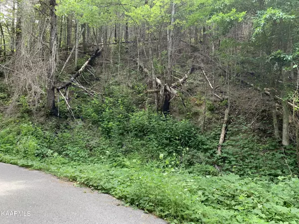 Sevierville, TN 37862,Lot 7 Willow LN