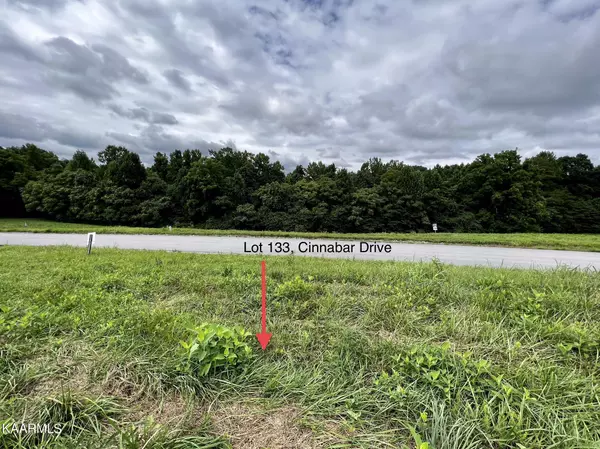 New Tazewell, TN 37825,Lot 133 Cinnabar DR