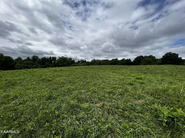 New Tazewell, TN 37825,Lot 133 Cinnabar DR