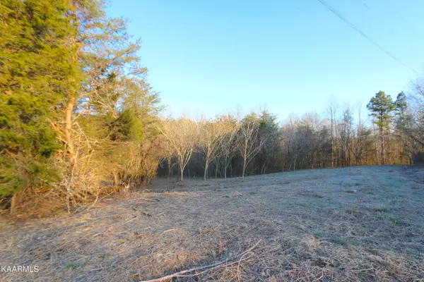 Tellico Plains, TN 37385,1 Highway 68