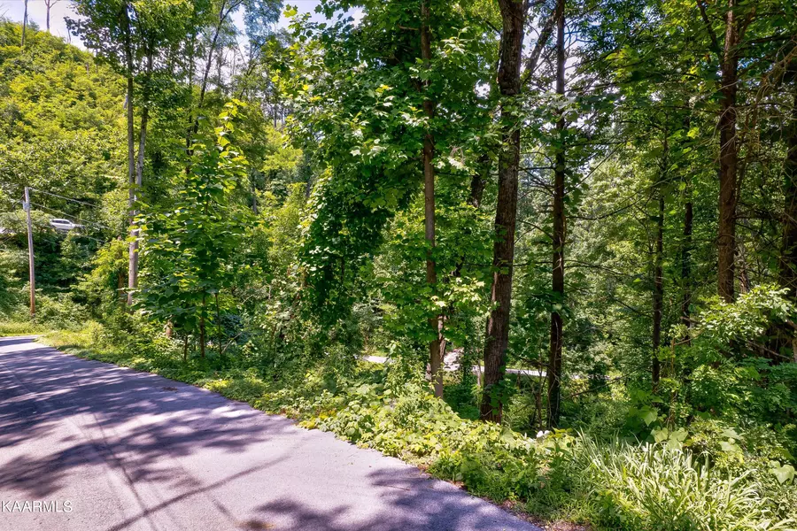 Lot 579 Crooked Ridge Rd, Gatlinburg, TN 37738