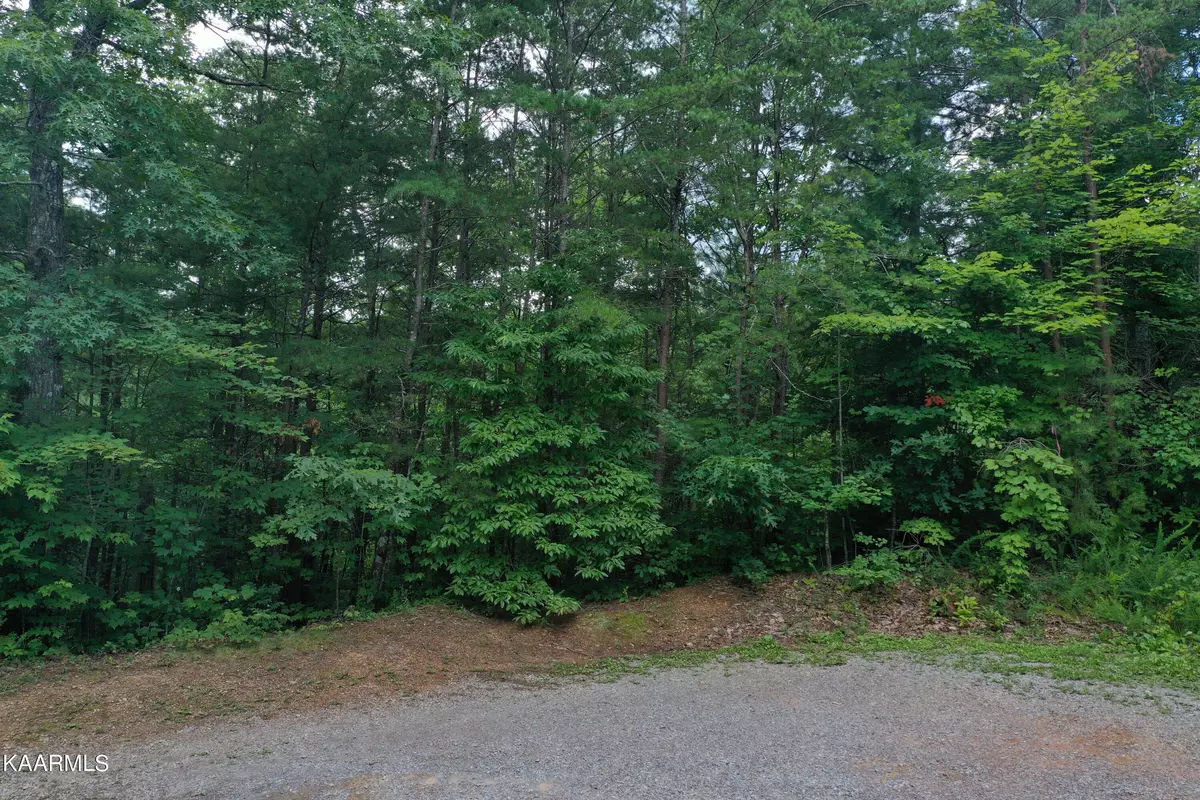 Sevierville, TN 37876,Lot 0977 Ridgefeild DR