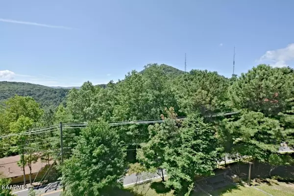 Gatlinburg, TN 37738,1380 Ski View DR #1306