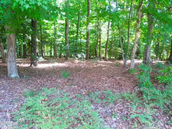 White Pine, TN 37890,Lot 25 Devon Way Rd