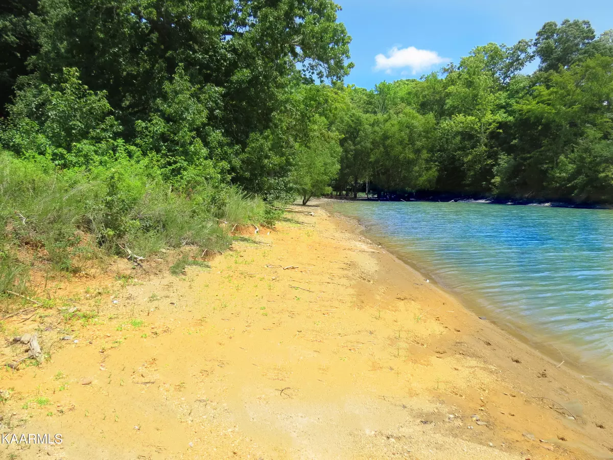 White Pine, TN 37890,Lot 24 Devon Way Rd