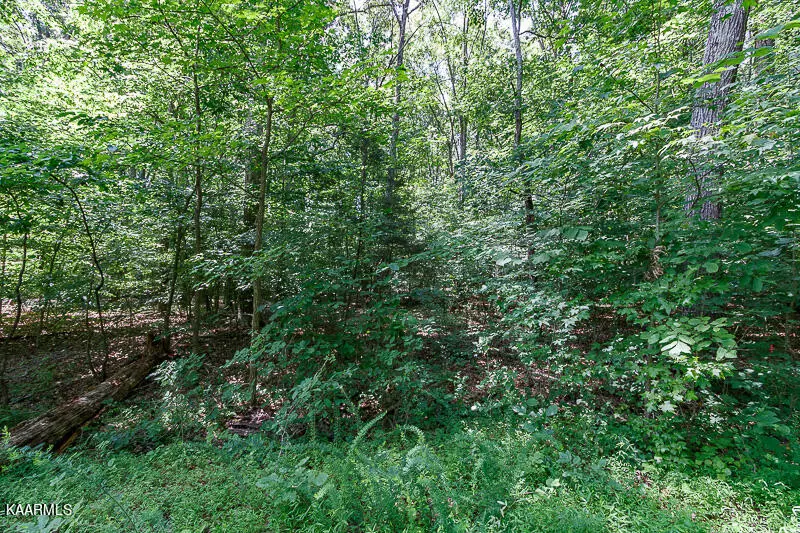 Baneberry, TN 37890,1203 Lee PL