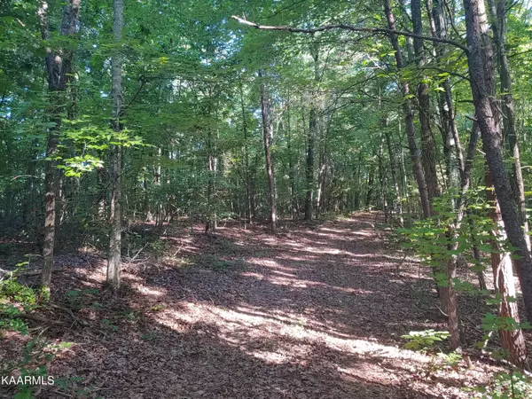 10 Acres Ault Rd, Spring City, TN 37381