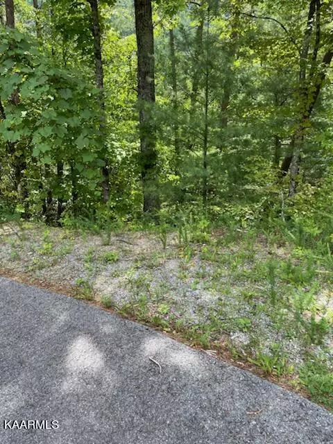 Sevierville, TN 37862,Sugar Maple Loop