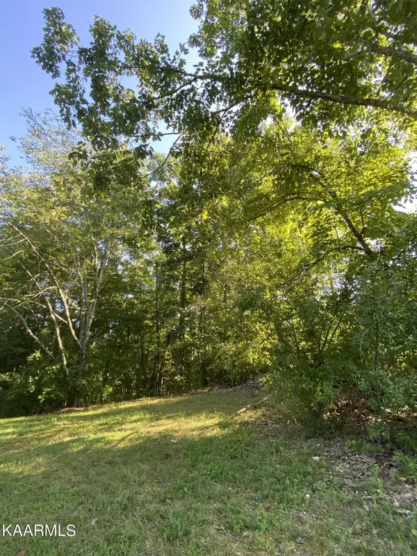 Lafollette, TN 37766,Laurel WAY