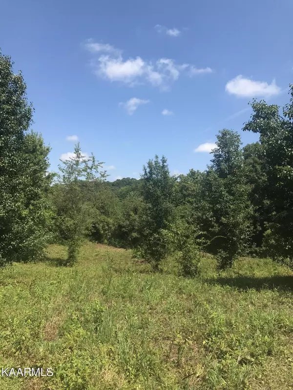 Kodak, TN 37764,Lot 3R Piney Rd Rd