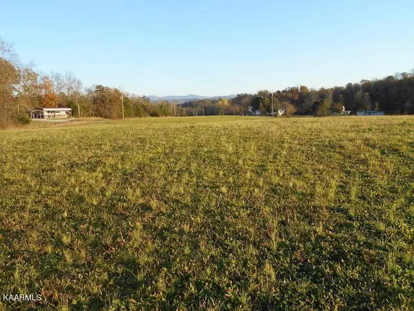 Tellico Plains, TN 37385,155 Shaddon Rd