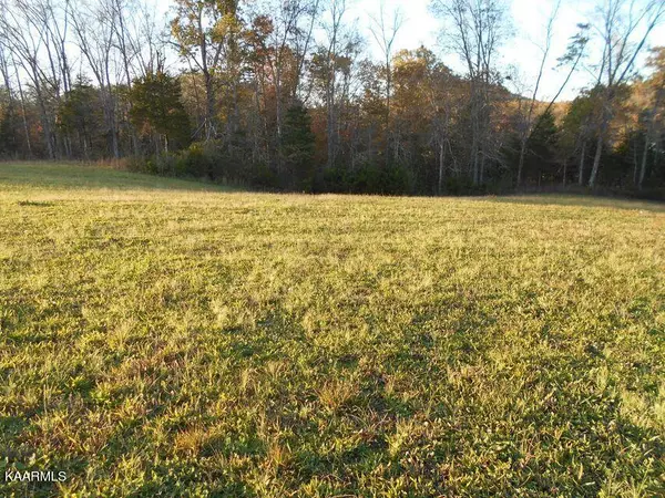 Tellico Plains, TN 37385,155 Shaddon Rd