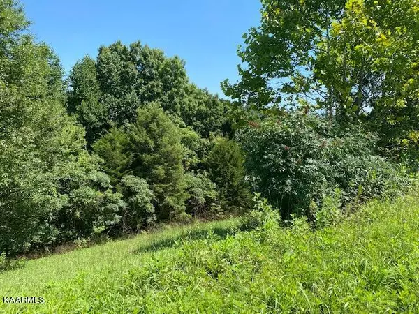 Lot 255 Marble Point WAY, New Tazewell, TN 37825