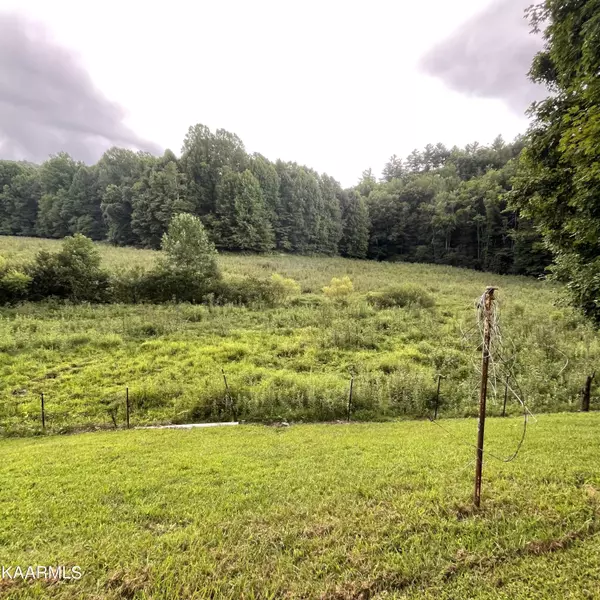 Tellico Plains, TN 37385,2380 Rafter Rd