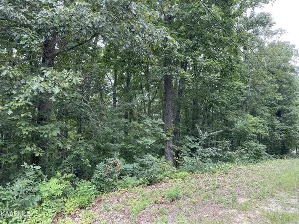 Newport, TN 37821,Lot 37 Pecan Tree Ln