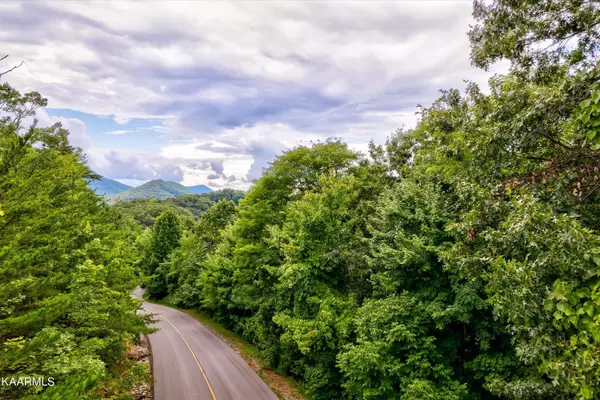 Sevierville, TN 37862,Lot 65E Redtail Rd