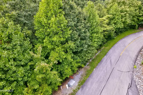 Sevierville, TN 37862,Lot 65E Redtail Rd