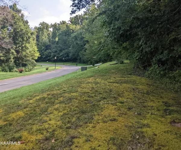 Newport, TN 37821,Lot 14 Meadowood Rd