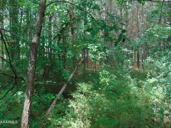 Athens, TN 37303,23.18 acre Highway 305