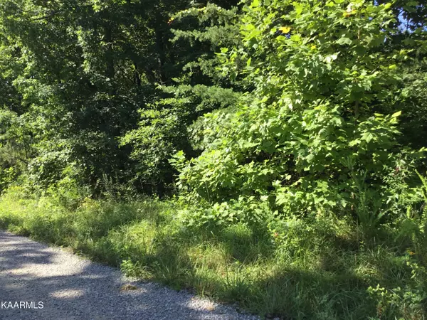 Spring City, TN 37381,Luminary Firetower