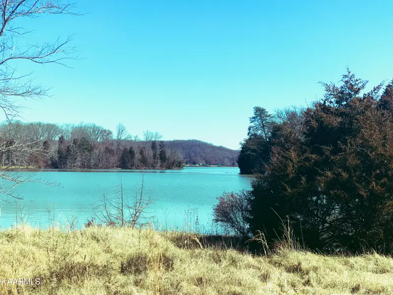 Bay Shore DR, Rockwood, TN 37854