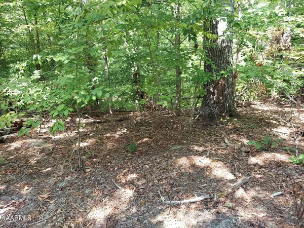 Baneberry, TN 37890,Lot 877 Stoneway Place