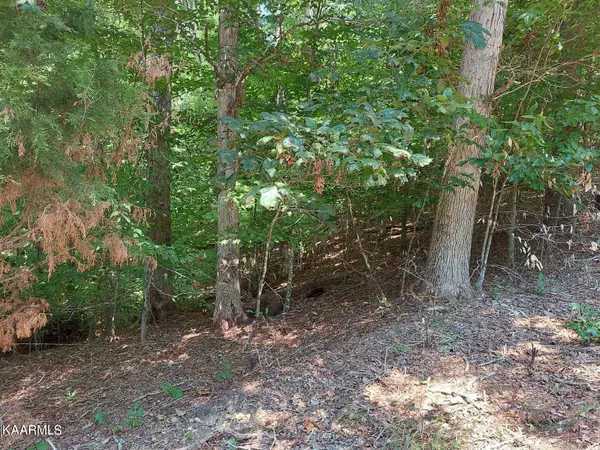 Lot 877 Stoneway Place, Baneberry, TN 37890