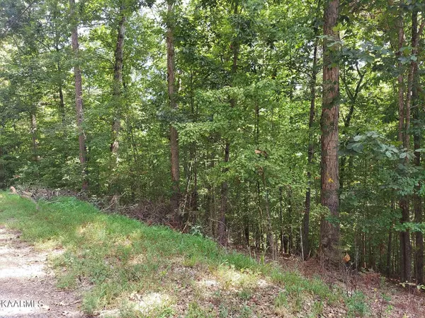 Baneberry, TN 37890,Lot 888 Stoneway Place