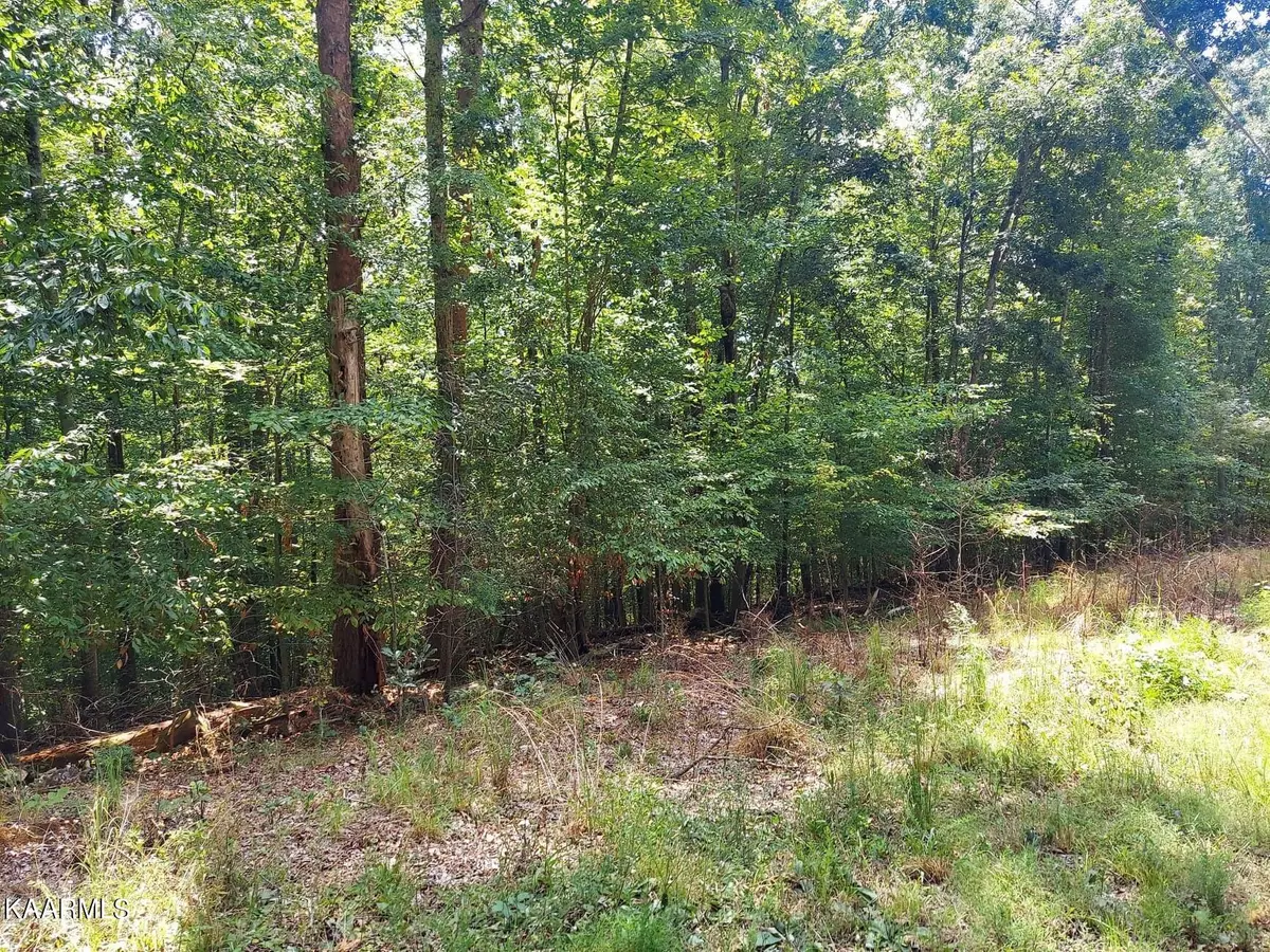 Baneberry, TN 37890,Lot 887 Stoneway Place