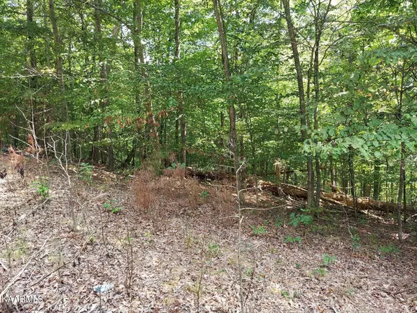 Baneberry, TN 37890,Lot 885 Stoneway Place