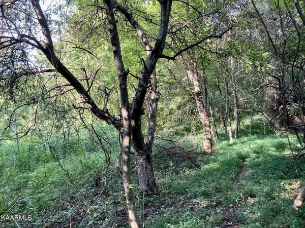 Jonesborough, TN 37659,161 Jay Barnett Rd