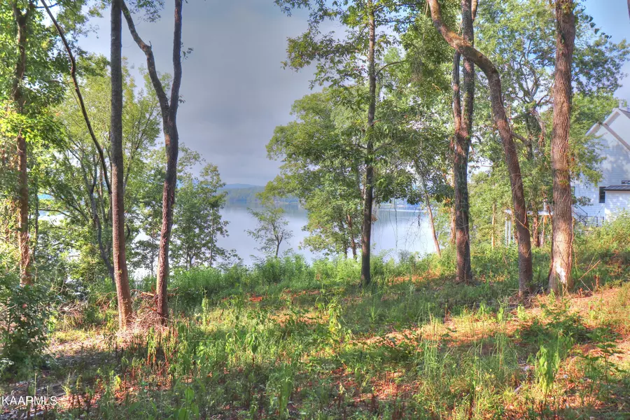 Lot 176 Shore DR, Rockwood, TN 37854