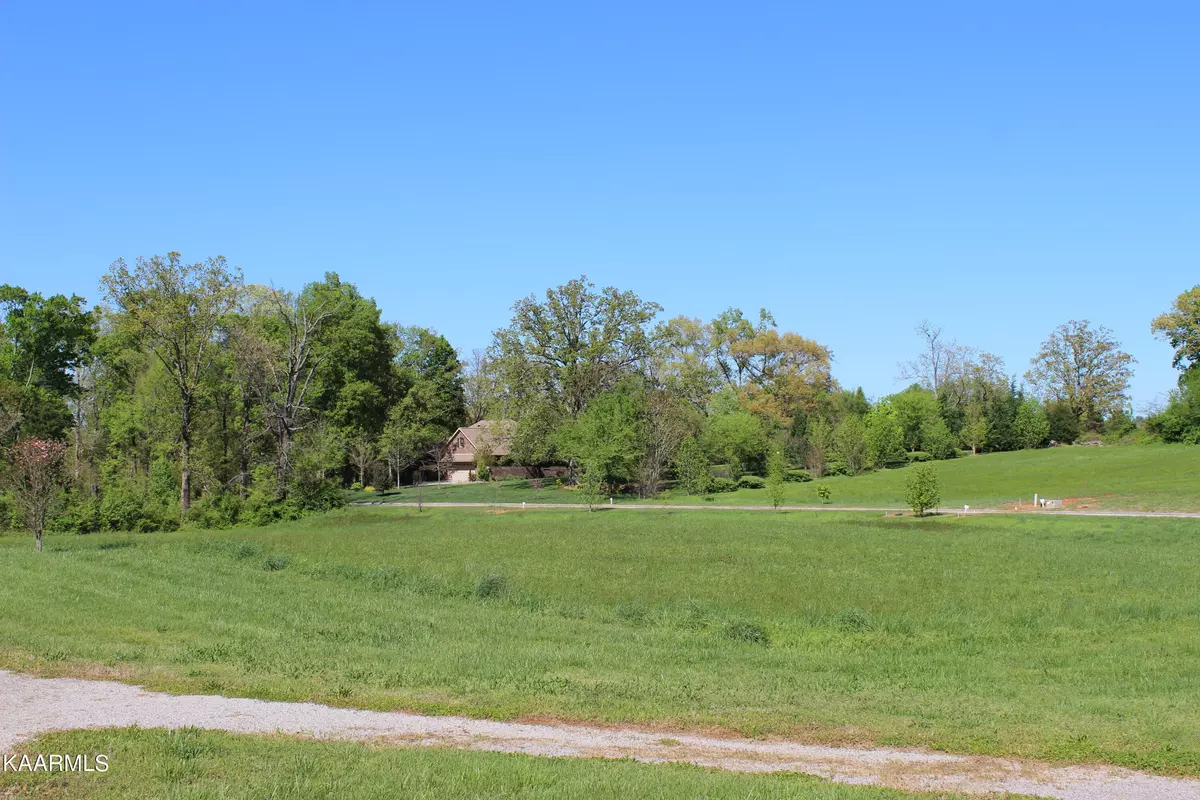 Madisonville, TN 37354,Lot 28 Sugar Maple CT