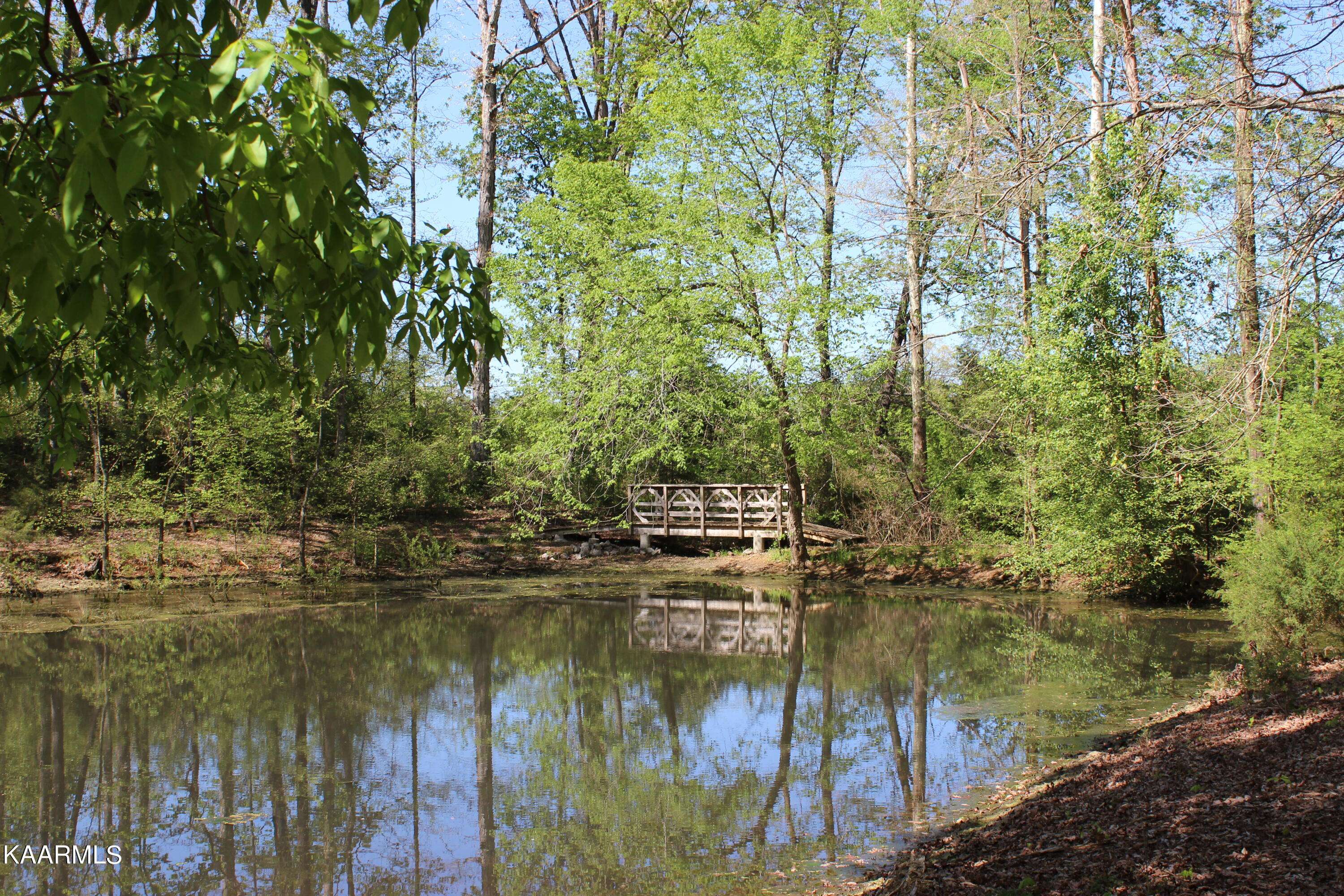 Madisonville, TN 37354,Lot 28 Sugar Maple CT