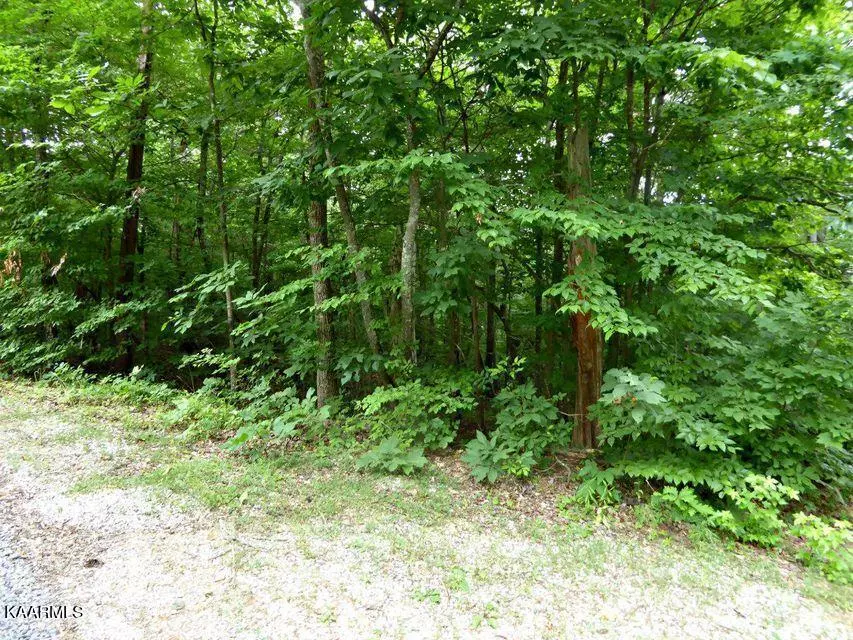 Baneberry, TN 37890,Lot 1235 Rustic Dr