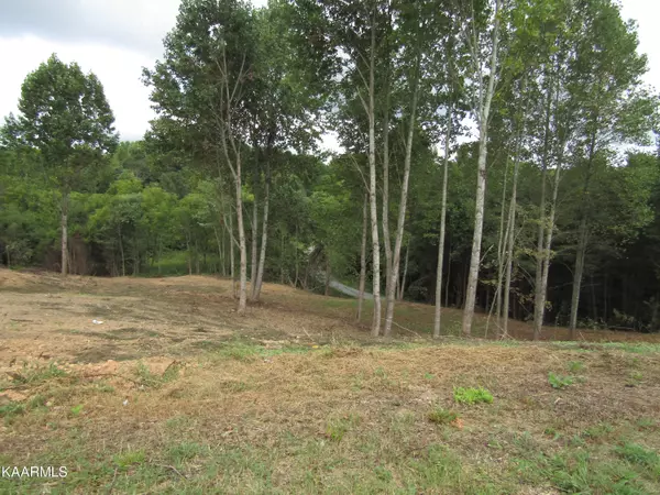 Moss, TN 38575,4174 UnionHill Moss Road Rd