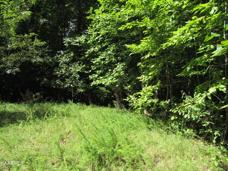 Lot 10 Jennifer Lane, Hilham, TN 38568