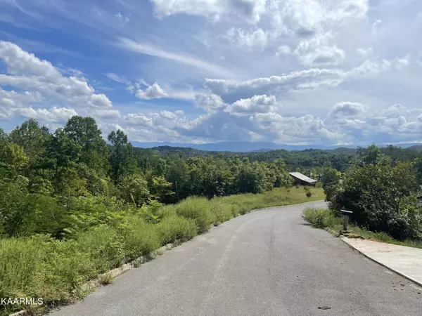 Sevierville, TN 37876,Rondayview LN