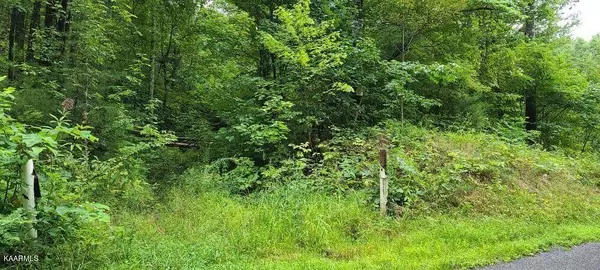 TBD Sandy Valley Rd, Rogersville, TN 37857