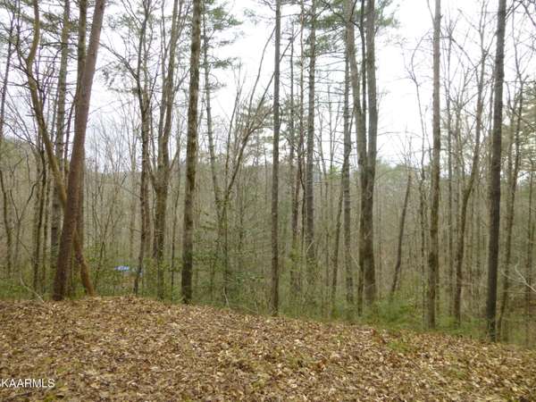 Waldens Creek Rd. Lot 4R3,  Sevierville,  TN 37876