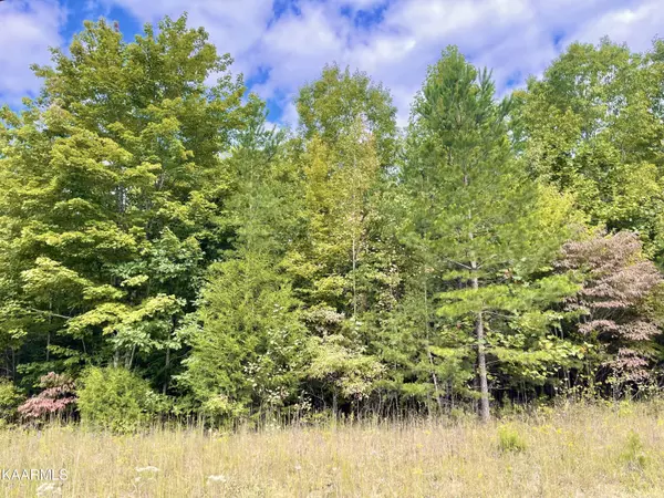 Big Piney Loop Lot 111, Wilder, TN 38589