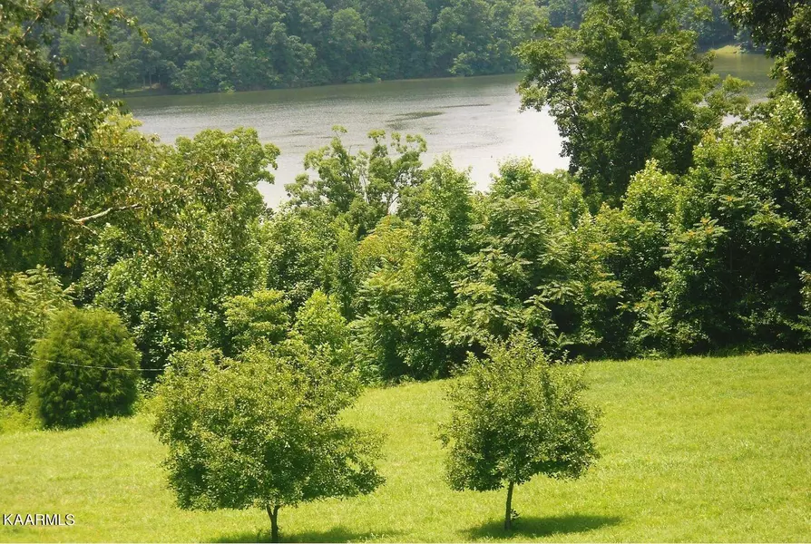 31 acres Caney Creek Rd, Harriman, TN 37748