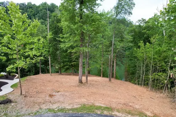 Sevierville, TN 37876,Lot 21 Anglers Cove Way