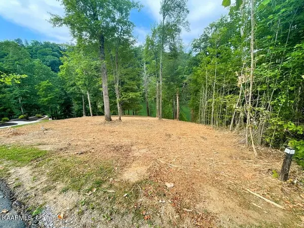 Sevierville, TN 37876,Lot 21 Anglers Cove Way