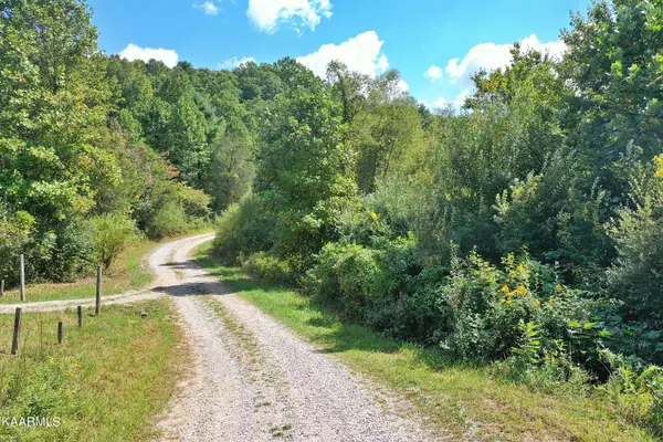 Helenwood, TN 37755,Phillips Cemetery Rd