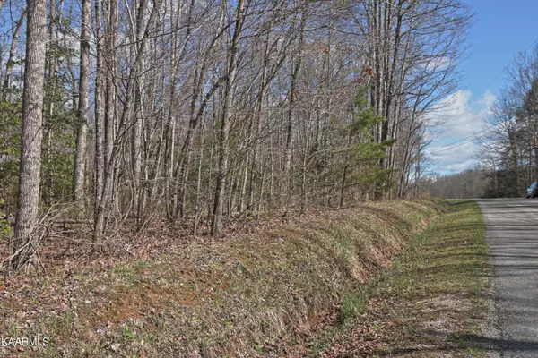 Allardt, TN 38504,Lot 9 Mt Helen Rd